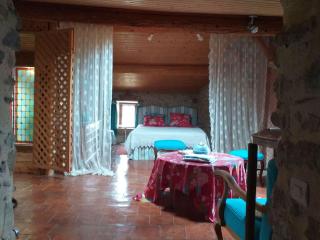 Riverside Home Cottage - Trèbes - 6