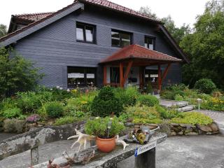 Ferienwohnung an der Lay Wohnung 2 - Bach - 9