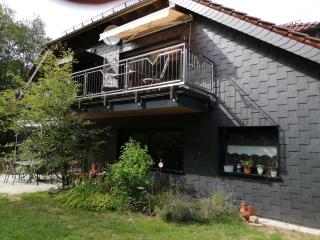 Ferienwohnung an der Lay Wohnung 2 - Bach - 7