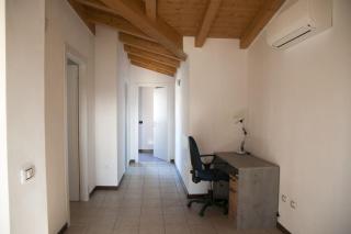 Gli astri di San Lorenzo - Abano Terme - 2