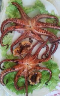 "Frogs House" Hotel & Restorant Slow Food - 1