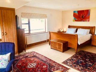 Tobernaglough Wexford pet friendly country b&b - Ramsgrange - 3
