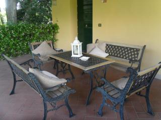 Podere Sant'Antonio - Fauglia - 2