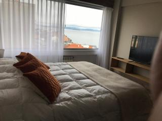 Bariloche View Apartment - San Carlos de Bariloche - 0