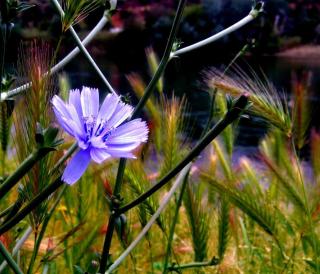 CA MARTÍN 1 - Benifallet - 4