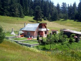 Tolem - Borino - 8