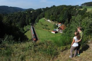 Unterhohnenhof - Triberg im Schwarzwald - 5