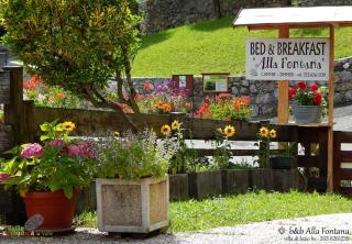 B&B Alla Fontana - 3