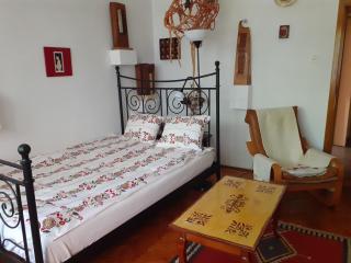 Apartament Anca - Timişoara - 4