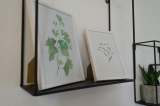 Oleander Rooms & Apartment - 6