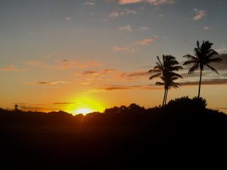 Mauna Kai'iki - Pahala - 9