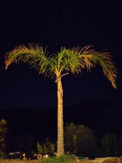 Casa Pizzido near Cefalù - Collesano - 1
