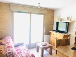 balcon des pistes - Les Deux Alpes - 4