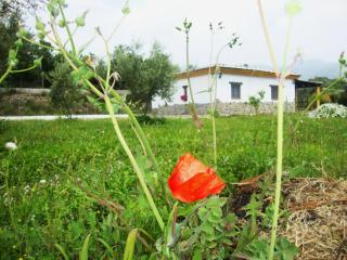 Casa Rural La Chumbera - Órgiva - 7