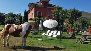 Hotel Rural El Torrejon - Arenas de Cabrales - 3