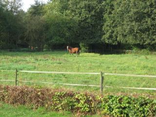 Rustpunt Groote Heide - Heeze - 8
