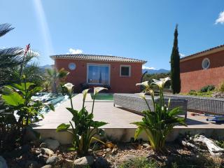 Villa di Pardisoli - Prunelli-di-Fiumorbo - 3