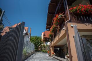 Uphill Residence - Sinaia - 4
