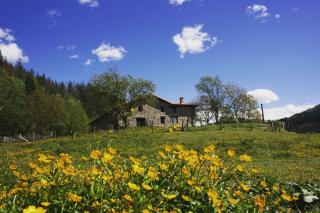 Casa rural Abatetxe - Elgóibar - 1
