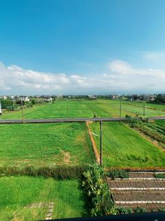 Buluba - Tiao Wang - 4