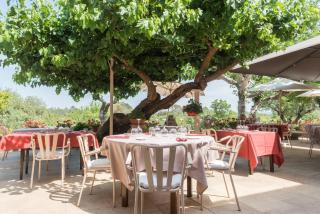Domaine du Lac - Teritoria - Flassans-sur-Issole - 4