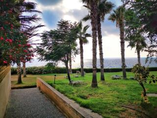 King Alexander Villa 22 - Paphos - 0