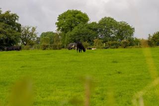Mc Callstown House Apartment - Ballyclare - 7