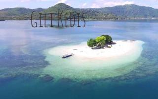 Krisna Bungalows and Restaurant - 5