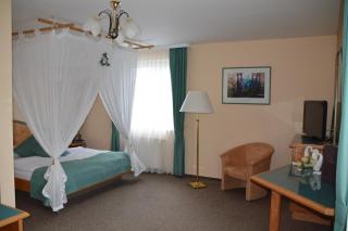 Hotel Auerhahn - Masserberg - 8