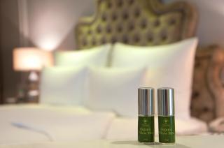 The Chateau Spa & Wellness Resort - 8