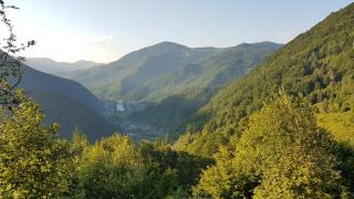 Екоферма Семенюк - 2