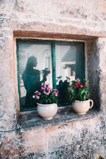 Casale Dei Pini - Nature Room - Martina Franca - 8