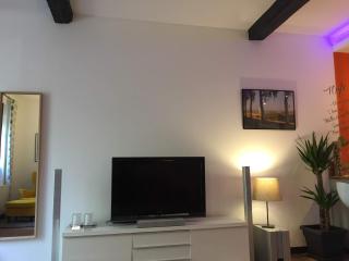 L appartement du parc - Villemur-sur-Tarn - 2
