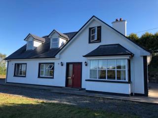 Modern Six Bedroom House Westport - 3