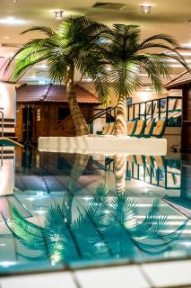 Mauritius Hotel & Therme - 5