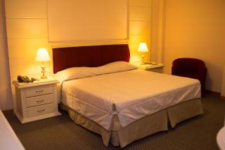 Rihad Palace Hotel - Araucária - 9