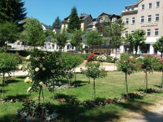 Apartment with terrace in Saxony - Bad Elster - 5