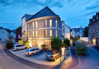 Hotel Moseldomizil - Mülheim an der Mosel - 8