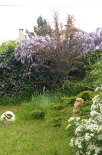 Au thé à la menthe - 5