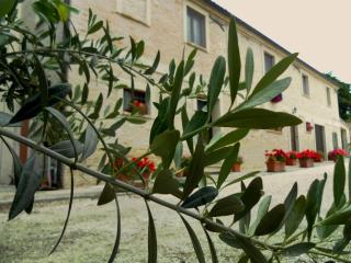 All'ombra degli Ulivi B&B - San Marcello - 4