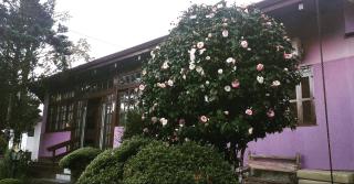 Pousada Gardenia Guest House - Gramado - 9