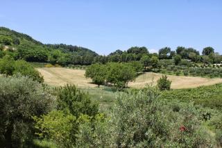 Villa Melagrana - Fano - 2