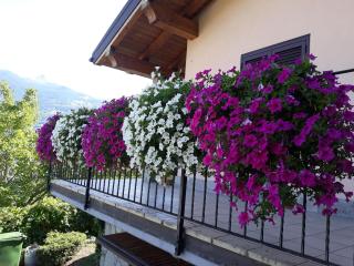 Villetta maison hélène CIR n 0391 - Aosta - 8