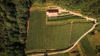 Sleme house - Krška Vas - 4