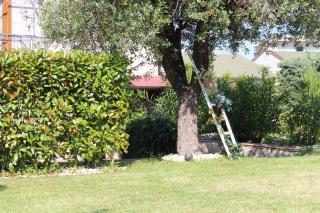 Bed & Breakfast Mafi - Orsogna - 2