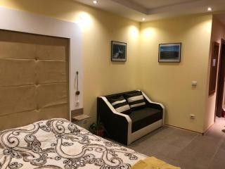 Studio Villa Park Premium Gold - 7