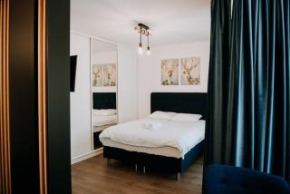 ZEN Central Apartments - Cluj-Napoca - 5