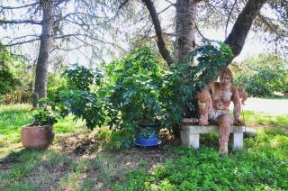 Chambres d'hôtes Les Baumes - 3