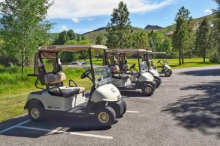 Fairway Nine 4315 - Sun Valley - 2