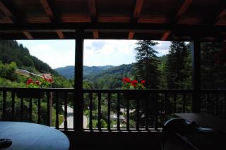 Family Hotel Ilinden - 9